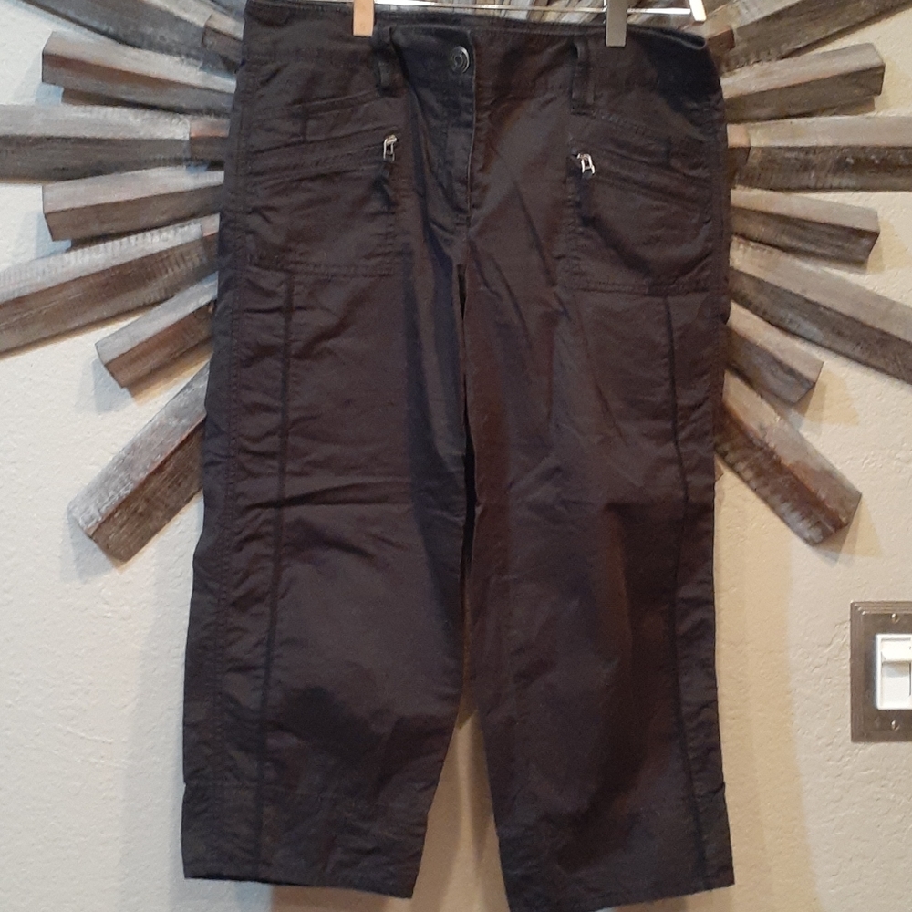 Ann Taylor Capri Pants